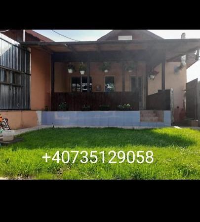 Casa zona centrala Tulcza Zewnętrze zdjęcie