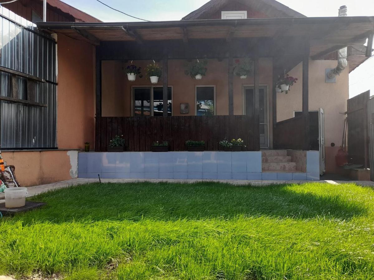 Casa zona centrala Tulcza Zewnętrze zdjęcie